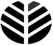 DSHwood